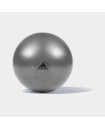 GYMBALL - 55CM